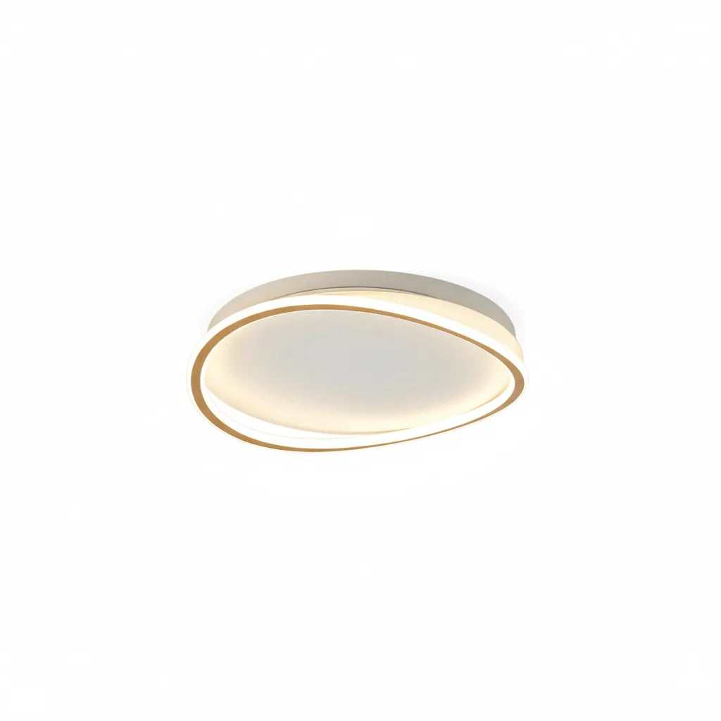 LED Ceiling Light Fixture with Modern Round Profile and Warm Illumination for Bedroom Living Room