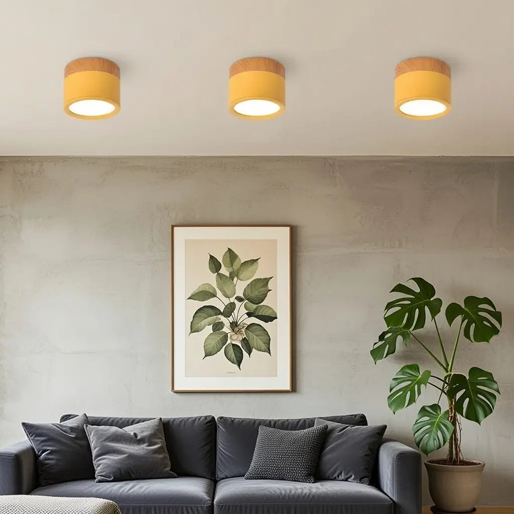 Kitchen Ceiling Lights with Wood Accent and Focused LED Beam for Hallway Bedroom