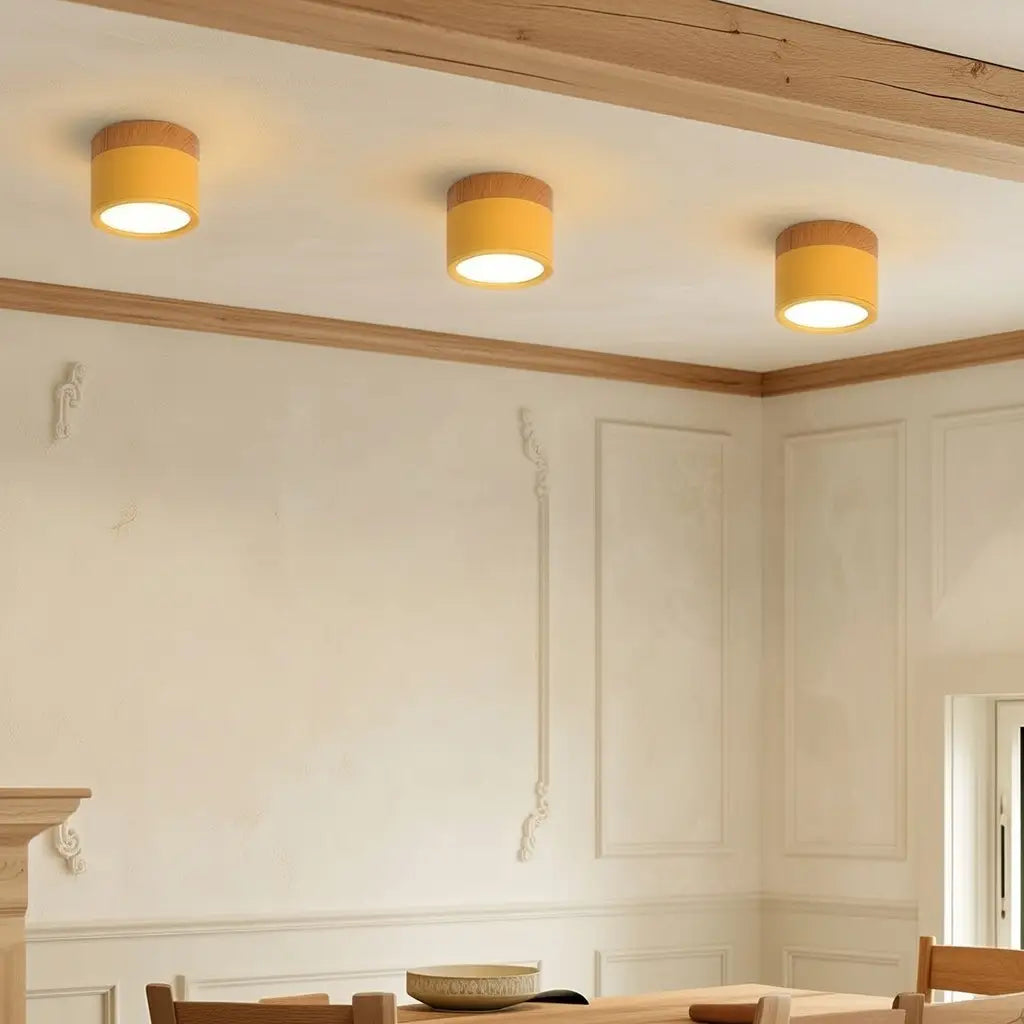 Kitchen Ceiling Lights with Wood Accent and Focused LED Beam for Hallway Bedroom
