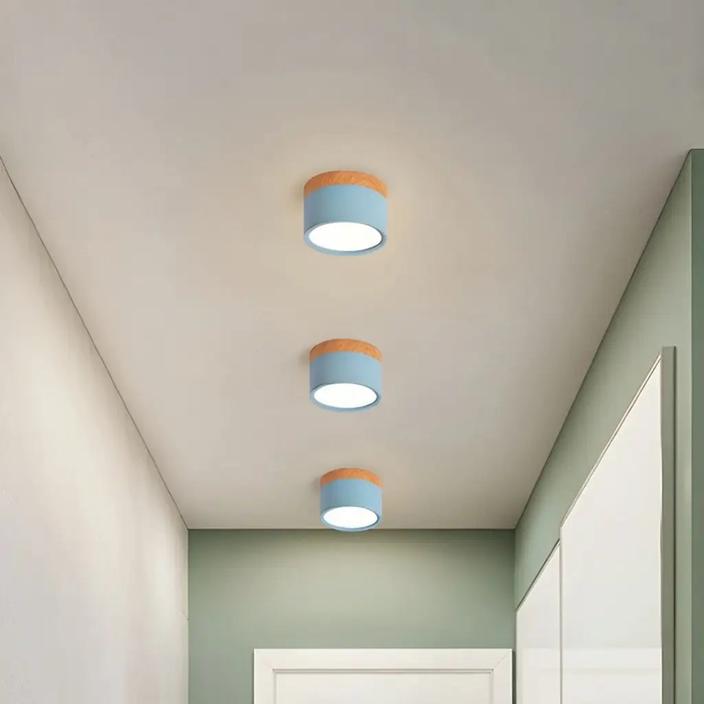 Kitchen Ceiling Lights with Wood Accent and Focused LED Beam for Hallway Bedroom