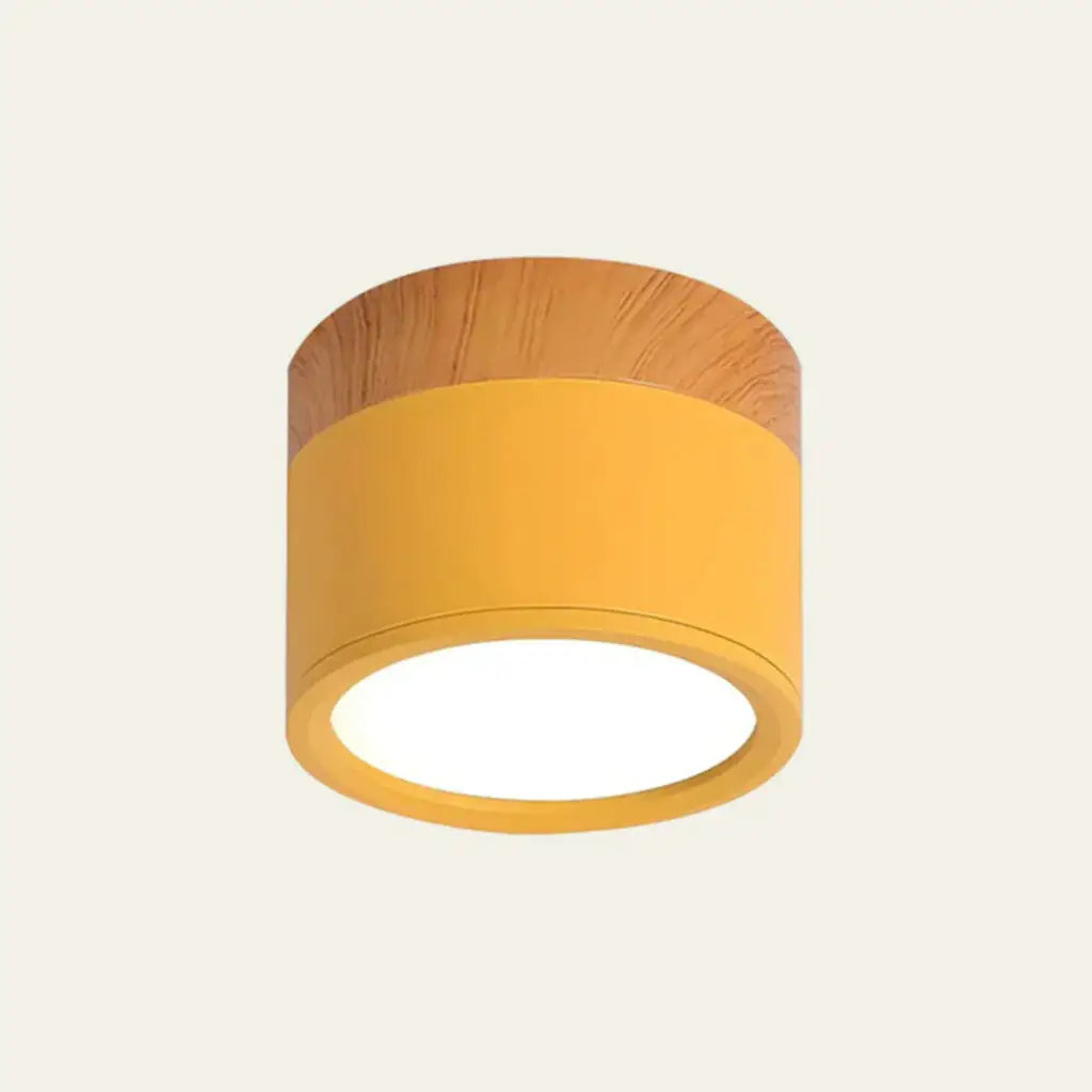 Kitchen Ceiling Lights with Wood Accent and Focused LED Beam for Hallway Bedroom
