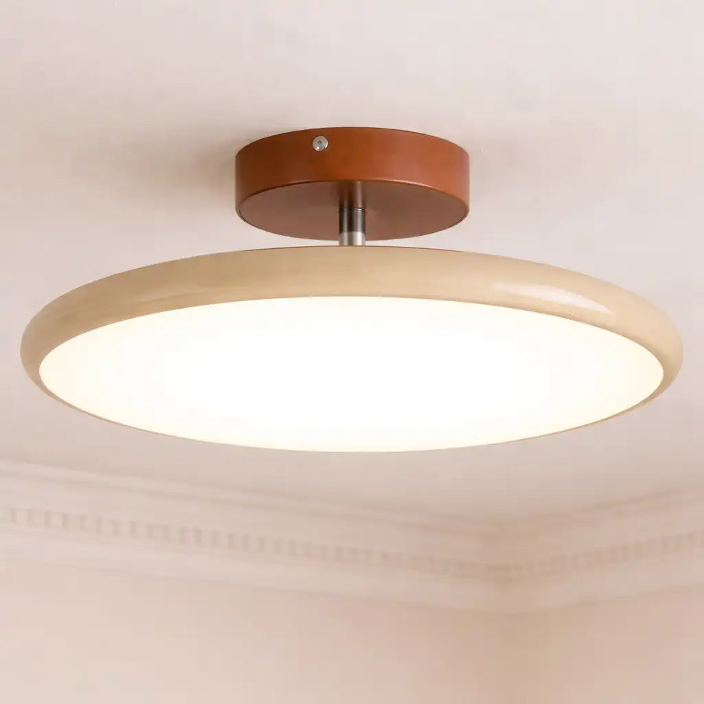 Kitchen Ceiling Lights with Adjustable LED Head and Nordic Minimalist Design