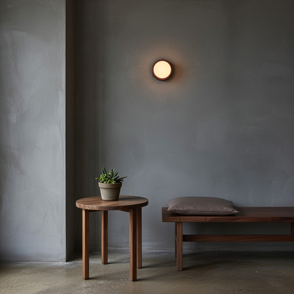 Wall Light with Frosted Glass Globe and Metal Backplate for Dual or Ceiling Mount