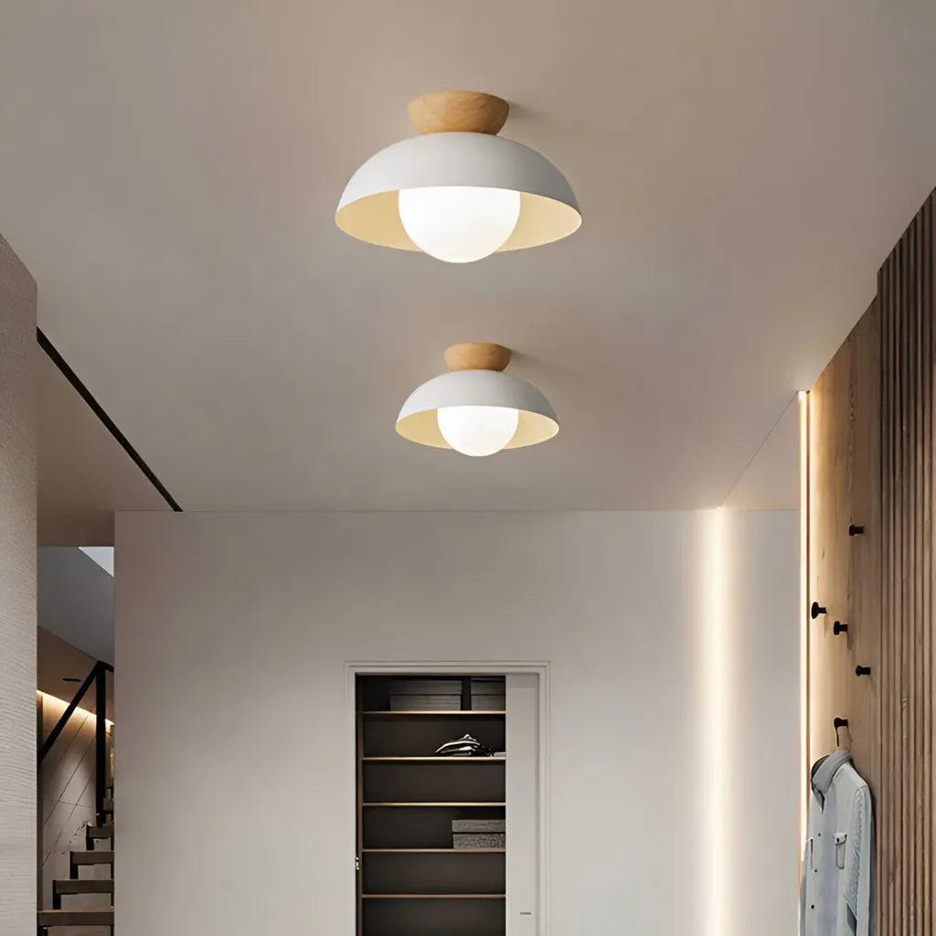 Kitchen Ceiling Lights with Iron and Glass Shade Flush Mount or Pendant Dual-Mount