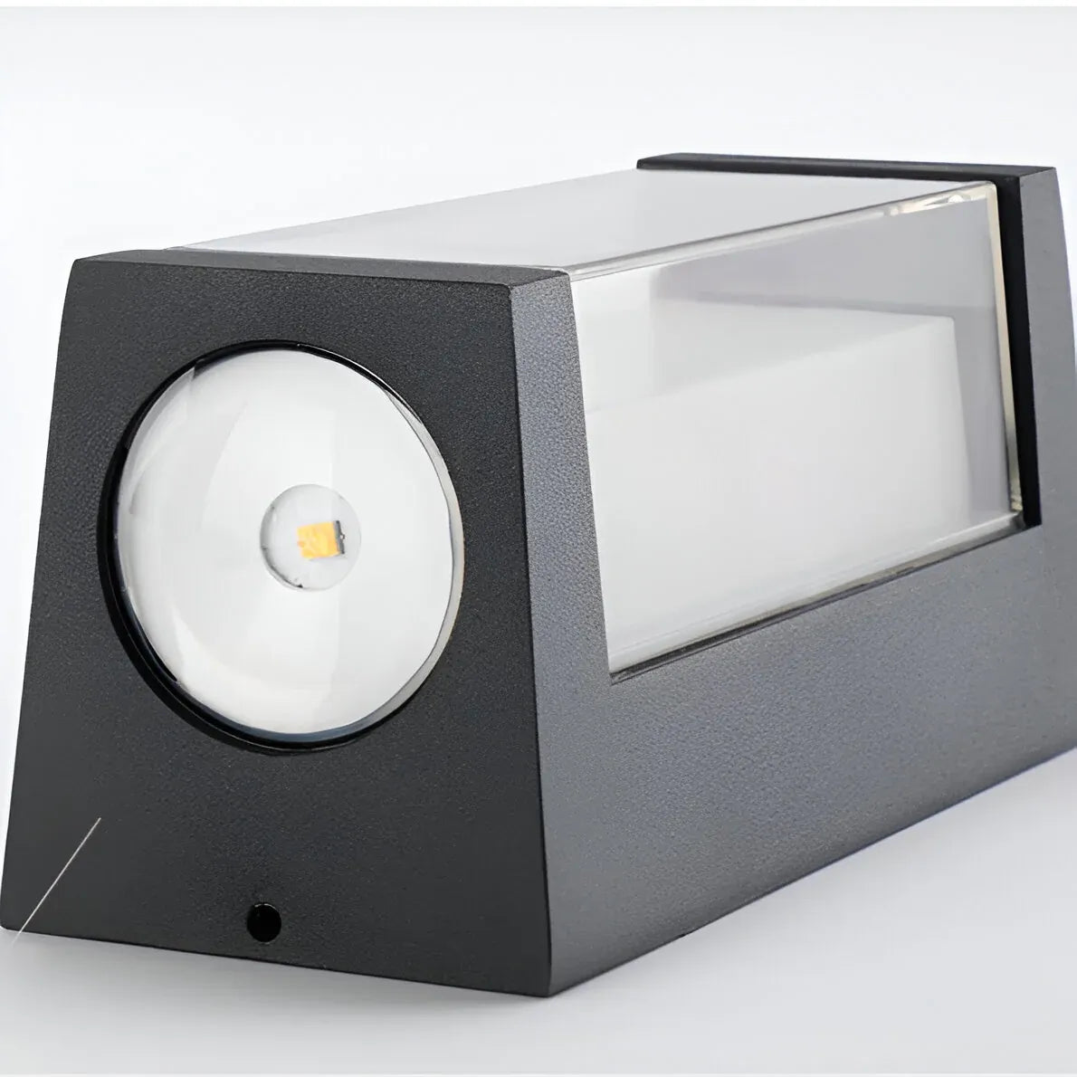 Outdoor Wall Sconce with Frosted Acrylic Diffuser and Up Down LED Illumination