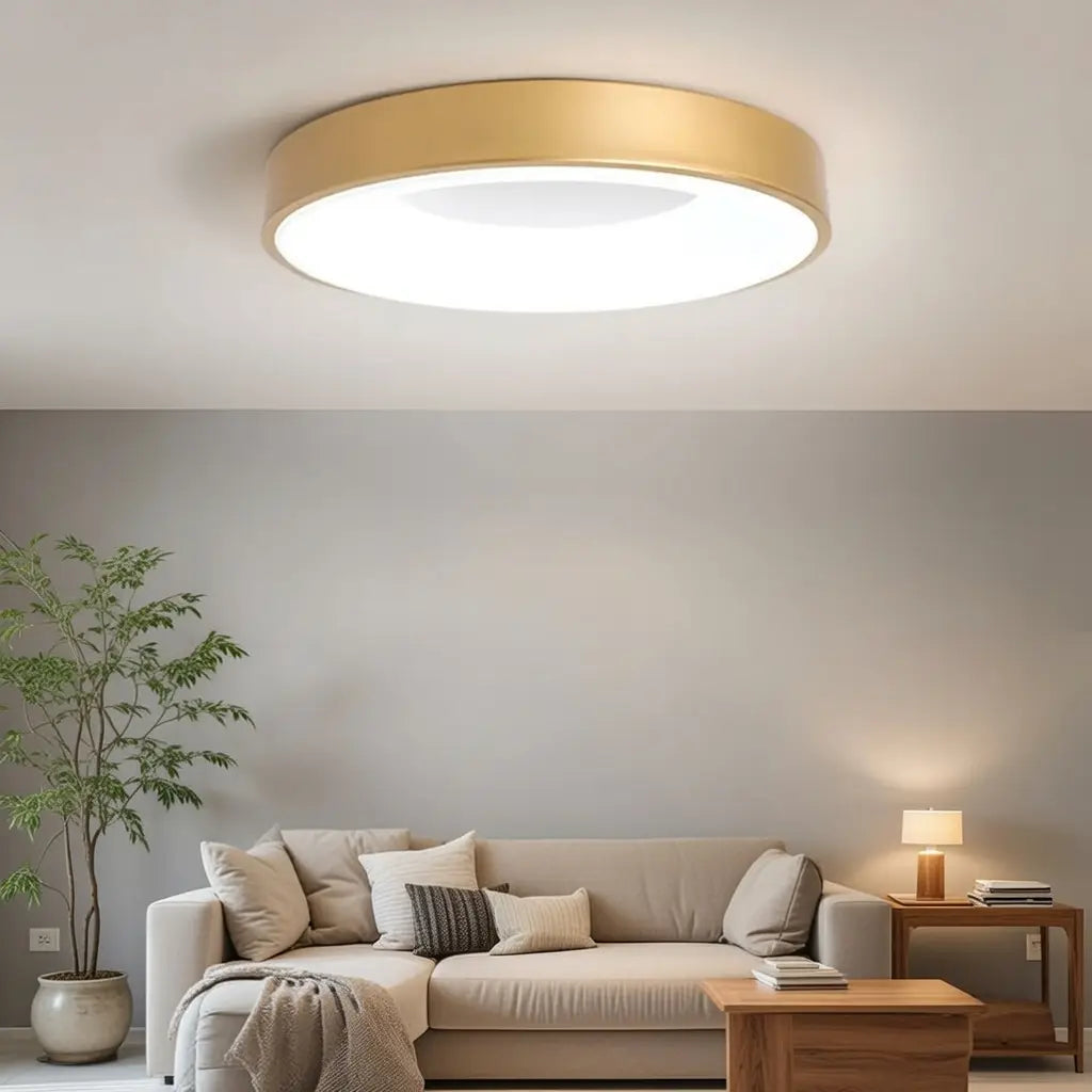 LED Oyster Light with Hollow Ring Design Flush Mount Ceiling Light for Bedroom Hallway
