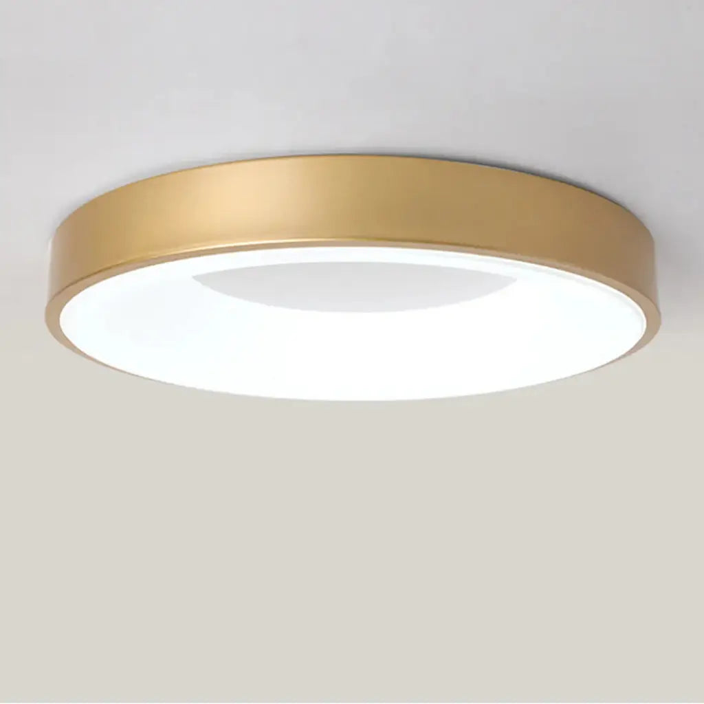 LED Oyster Light with Hollow Ring Design Flush Mount Ceiling Light for Bedroom Hallway