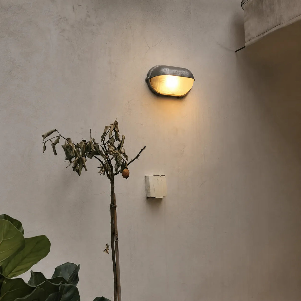 Outdoor Wall Sconce with Ribbed Glass Diffuser and Die-Cast Aluminium Industrial Bulkhead Design