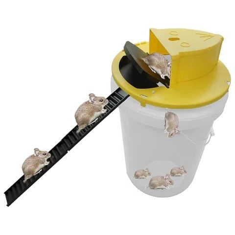 Bucket Mouse Trap with Humane Live Catch Automatic Ramp and Reset for 5 Gallon Pail - Image 5