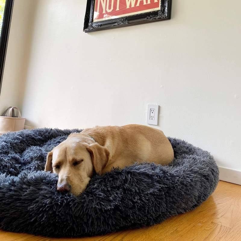 Calming Donut Dog Bed with Plush Raised Rim and Round Nest Design - Image 14