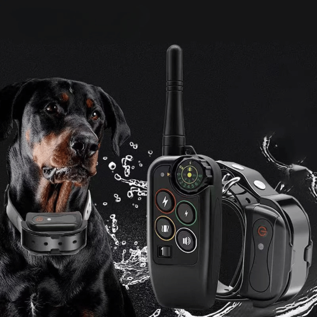 Dog Training Collar with Remote Control Waterproof Shock and Vibration E-Collar - Image 2