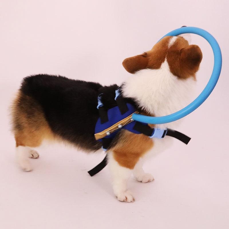 Halo Dog Collar with Protective Bumper Ring for Blind Mobility and Safety - Image 4