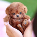 Realistic Dog Stuffed Animals with Soft Curly Fur and Plush Puppy Poodle Design - Image 1