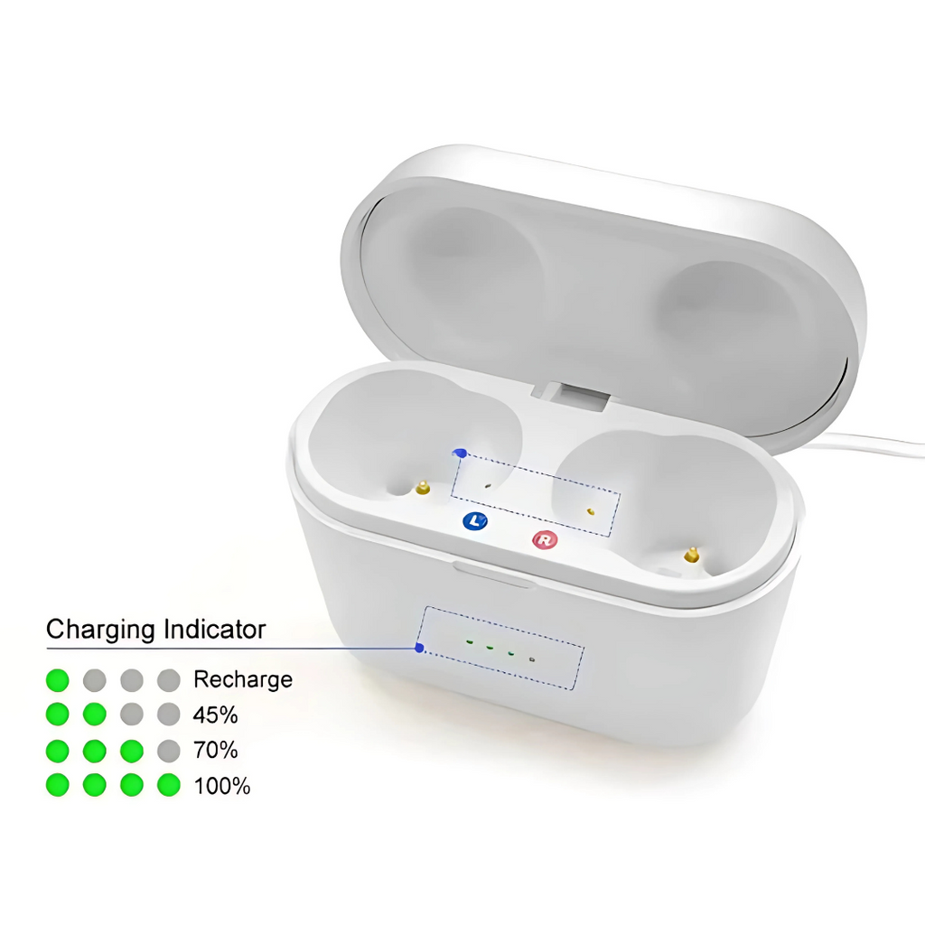 Rechargeable Hearing Aids for Sensorineural Loss with In-The-Canal Design and Charging Case - Image 2